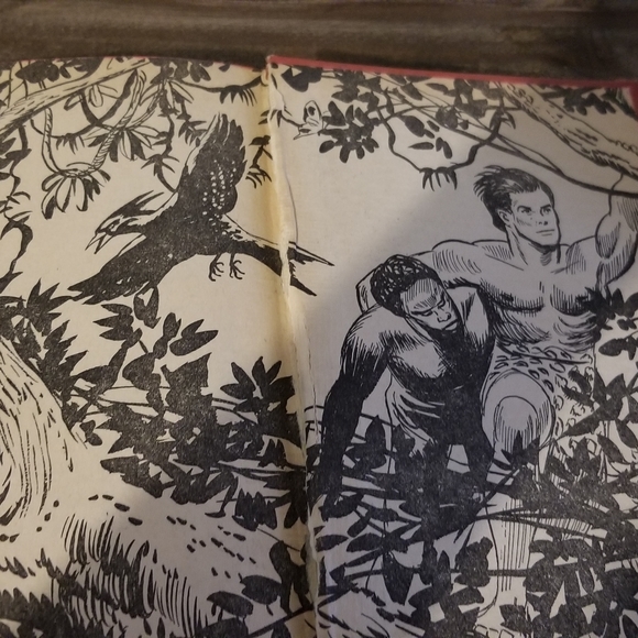 Old Tarzan Book - Picture 4 of 5